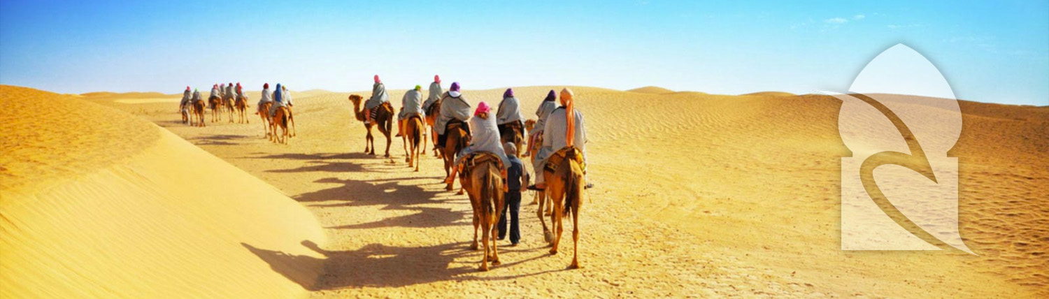 Camel and Horse Riding Agadir Morocco