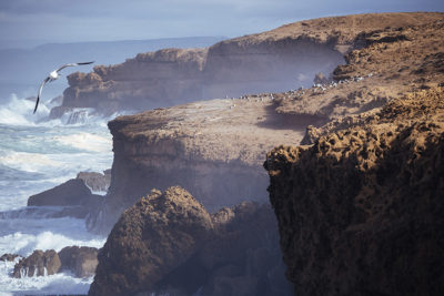 Surf guiding Morocco - Mirage Surf