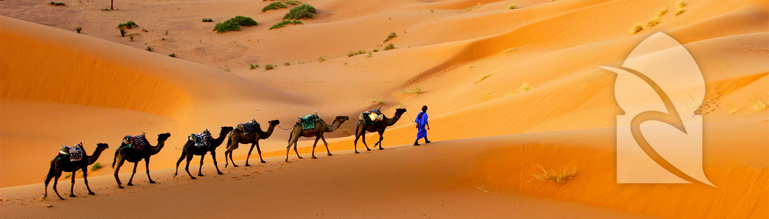 visit sahara desert morocco